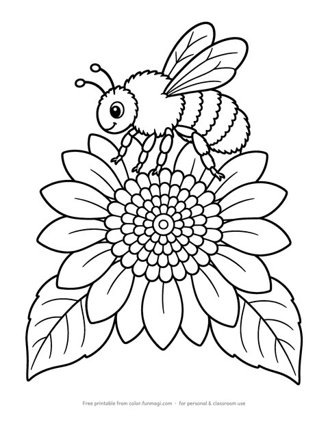 Large print coloring page: a bumblebee landing on a large sunflower head, drawn with thick bold outlines