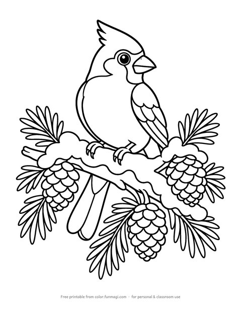 Large print coloring page: a red cardinal perched on a snowy pine branch with pine cones, drawn with thick bold outlines