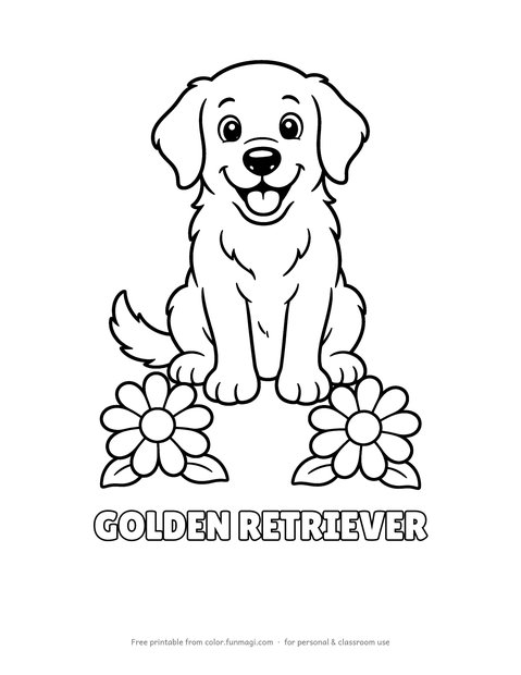 Large print dog breed coloring page: a sitting Golden Retriever with two big daisies at its feet, with the breed name "Golden Retriever" in hollow letters to color, thick bold outlines