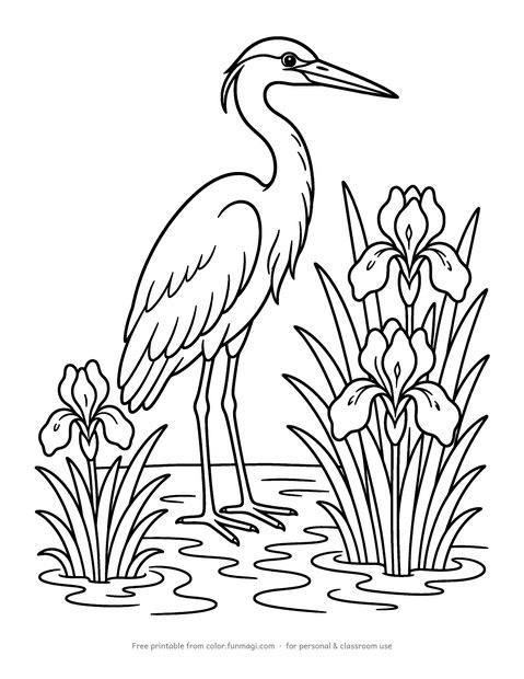 Large print coloring page: a tall heron standing among reeds and water iris flowers, drawn with thick bold outlines