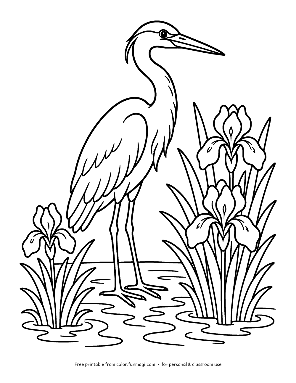 Large print coloring page: a tall heron standing among reeds and water iris flowers, drawn with thick bold outlines