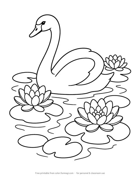 Large print coloring page: a graceful swan gliding among water lilies, drawn with thick bold outlines