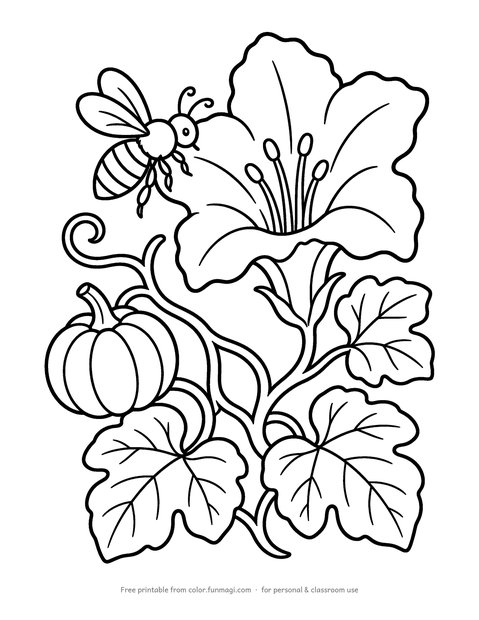 Large print coloring page: a bee on a large pumpkin blossom with a small pumpkin, drawn with thick bold outlines