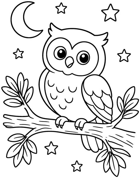 Large print coloring page for seniors: owl on a moonlit branch with thick lines