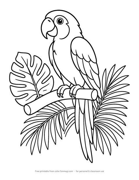 Large print coloring page: a macaw parrot on a branch with big tropical leaves, drawn with thick bold outlines