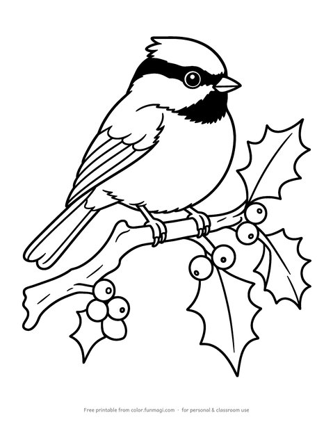 Large print coloring page: a chickadee on a branch with round holly berries and leaves, drawn with thick bold outlines